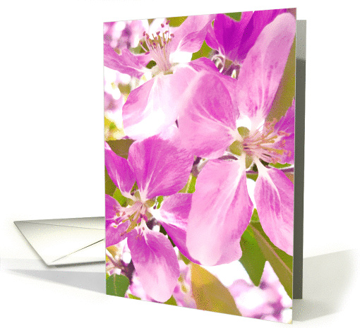 Blossom card (317952)