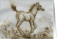 frolicking foal card