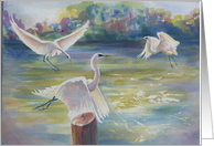 white flight card
