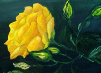 Yellow Rose Thinking...