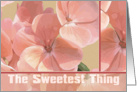 The Sweetest Thing Note card