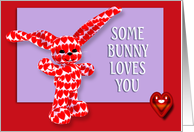 Send Bunny Notes ...