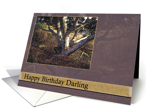 Memories Happy Birthday Darling card (356507)