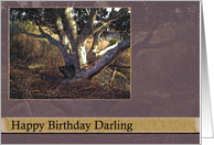 Memories Happy Birthday Darling card