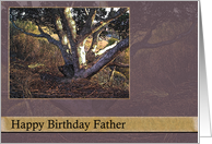 Memories Happy Birthday Father card