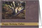 Memories Happy Birthday Father card