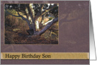 Memories Happy Birthday Son card