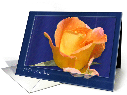 Rose is a Rose note card (blank) card (360494)