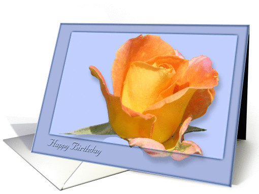 The beauty of a Rose Birthday card (361005)