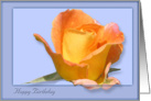 The beauty of a Rose Birthday card