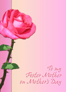 To My Foster Mother...