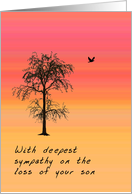 Death of Son, Deepest Sympathy card