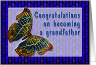 Congrats New Grandfather Cloisonne Butterfly card