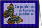 Congrats New Grandmother Cloisonne Butterfly card