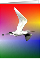 Sunset Egret card