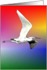 Sunset Egret card