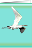 Flying Egret Note Card (blank) card