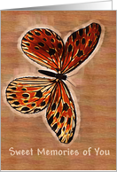 Sweet Butterfly Memories card