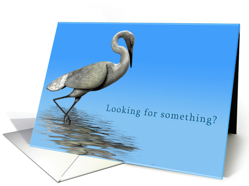 Looking for love in all the right places. card (373738)
