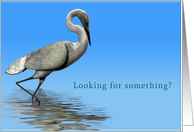 Looking for love in all the right places. card