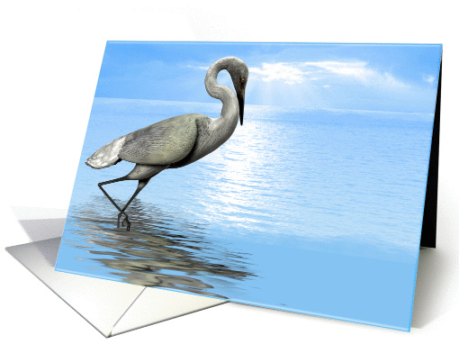 Beautiful Egret (Blank card) card (373740)