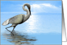 Beautiful Egret (Blank card) card
