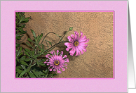 Beautiful Pink Flowers (blank and ready to frame) card