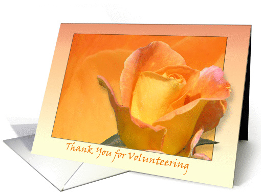 Thank you for Volunteering card (377516)