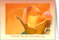 Thank you for Volunteering card