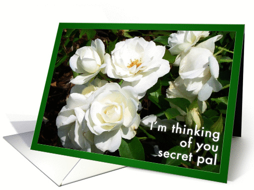 Thinking of my Secret Pal card (384639)