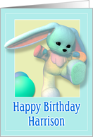 Harrison, Happy Birthday Bunny card