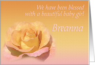 Breanna’s Exquisite Birth Announcement card