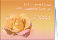 Liliana’s Exquisite Birth Announcement card