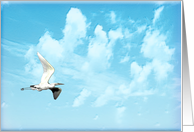 Soaring Egret Notes (blank) card