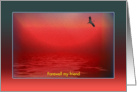 Farewell my Friend, Sunset Egret card
