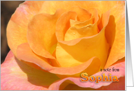 Sophia’s Note Card (blank) card