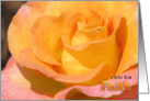 Faith’s Note Card (blank) card