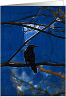 Crow Mood Studies #3 card