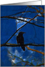 Crow Mood Studies #3 card