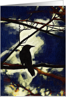 Crow Mood Studies #5 card