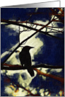 Crow Mood Studies #5 card