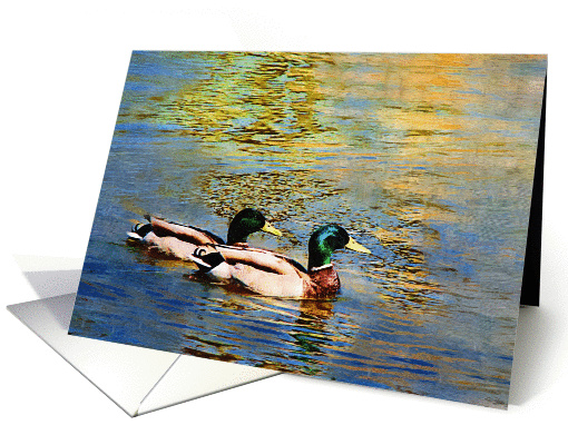 Mallard Dreams card (396285)