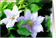 Impressions of flowers card
