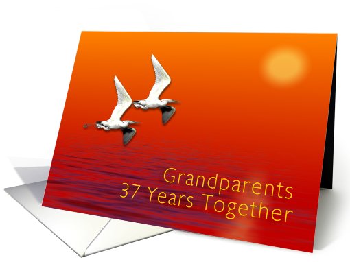 Grandparent 37th Wedding Anniversary card (412889)