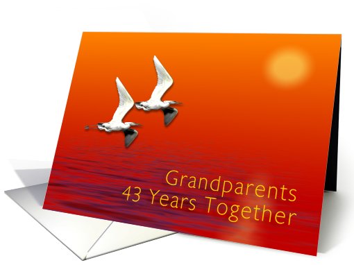 Grandparent 43rd Wedding Anniversary card (412895)