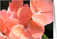 Gentle Flowers #3 (blank) card