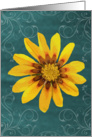Flower Notes -blank- card