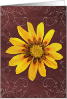 Flower (blank) card