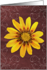 Flower (blank) card