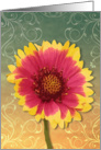 Flower (blank) card